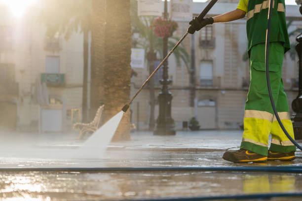 Best Driveway Pressure Washing  in Frenchtown, NJ